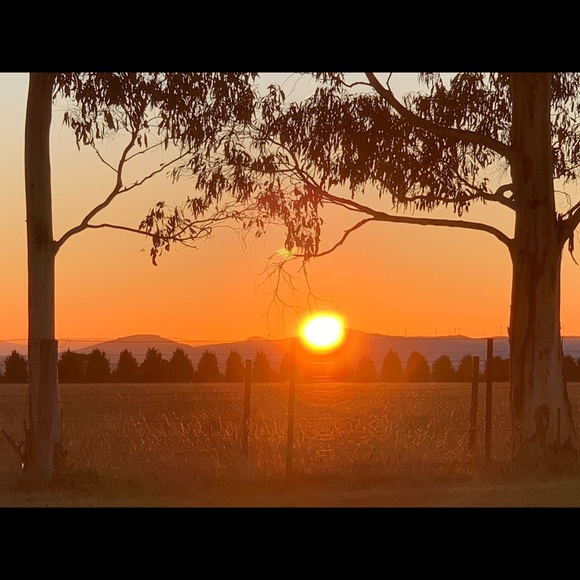 Meet your Posher, Sarahann - Picture 1 of 1